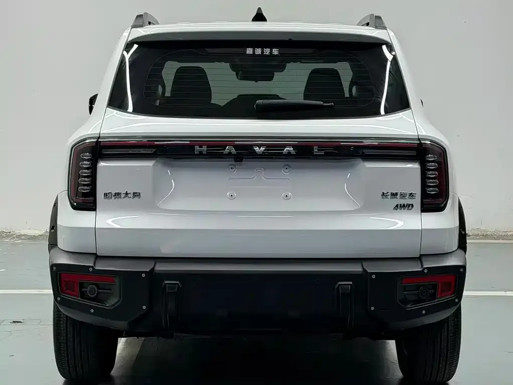 Haval Big Dog 2024 из CN, фото 4