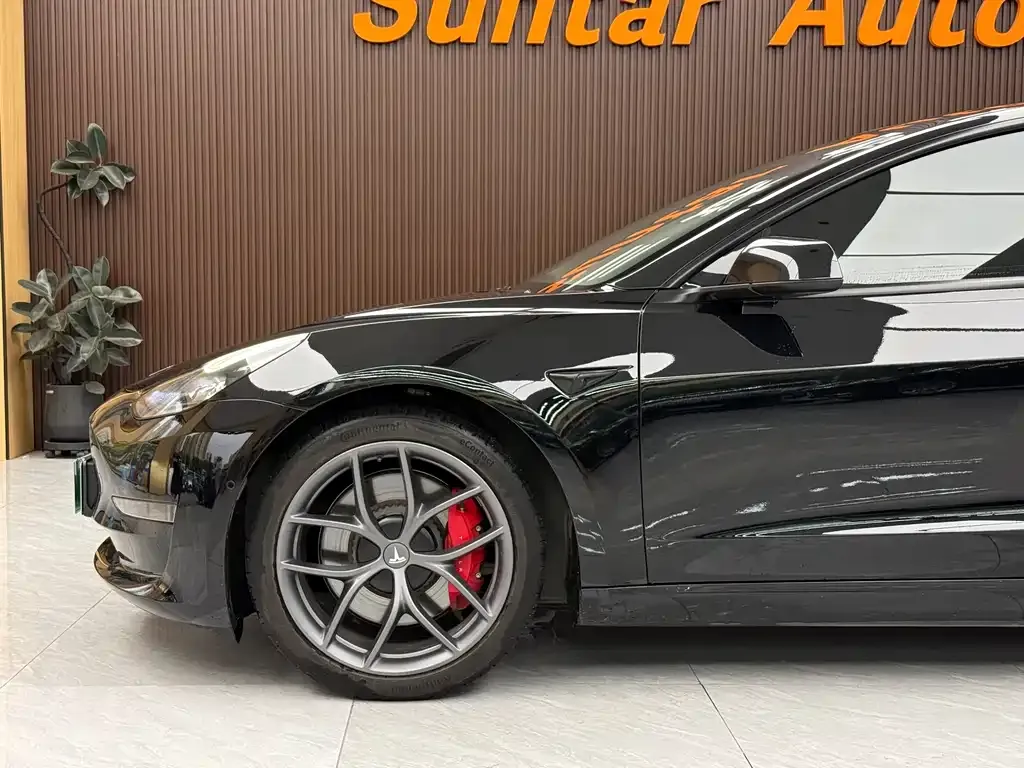 Tesla Model 3 2022 из CN, фото 5