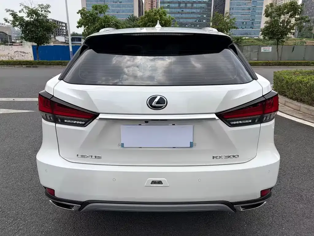 Lexus RX — фото 6