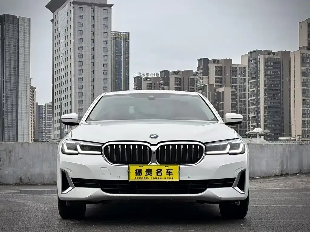BMW 5 Series 2021 из CN, фото 9