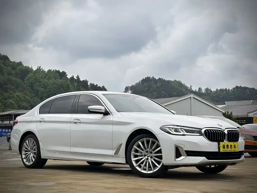 BMW 5 Series 2021 из CN, фото 4