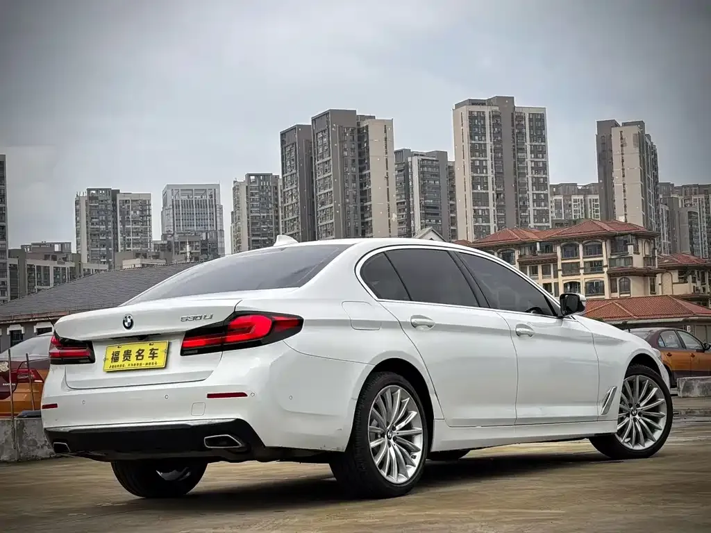 BMW 5 Series 2021 из CN, фото 5