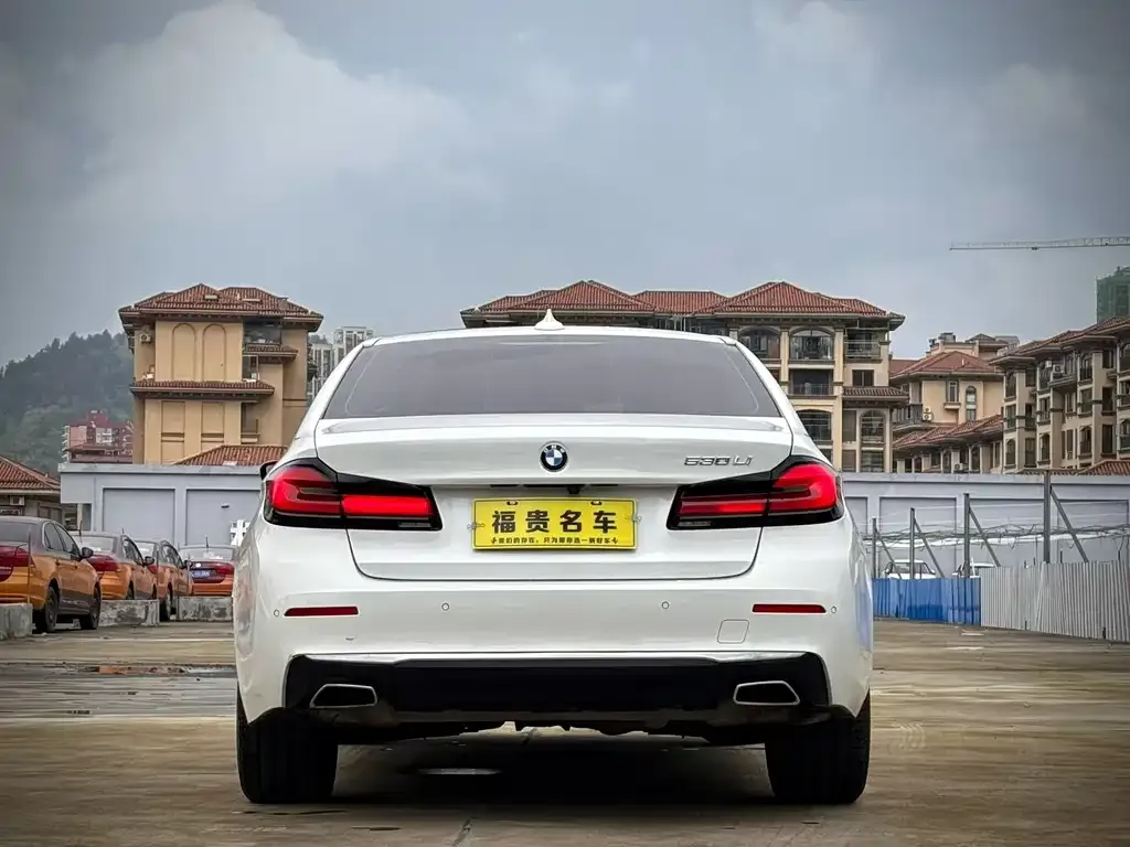BMW 5 Series 2021 из CN, фото 3