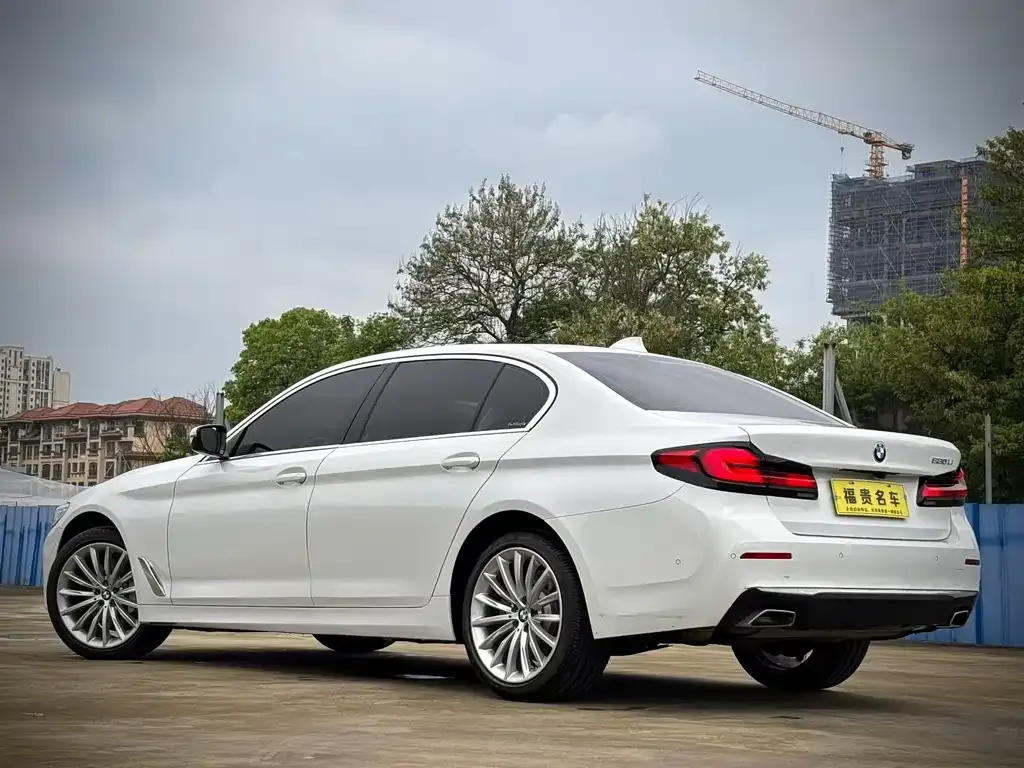 BMW 5 Series 2021 из CN, фото 8