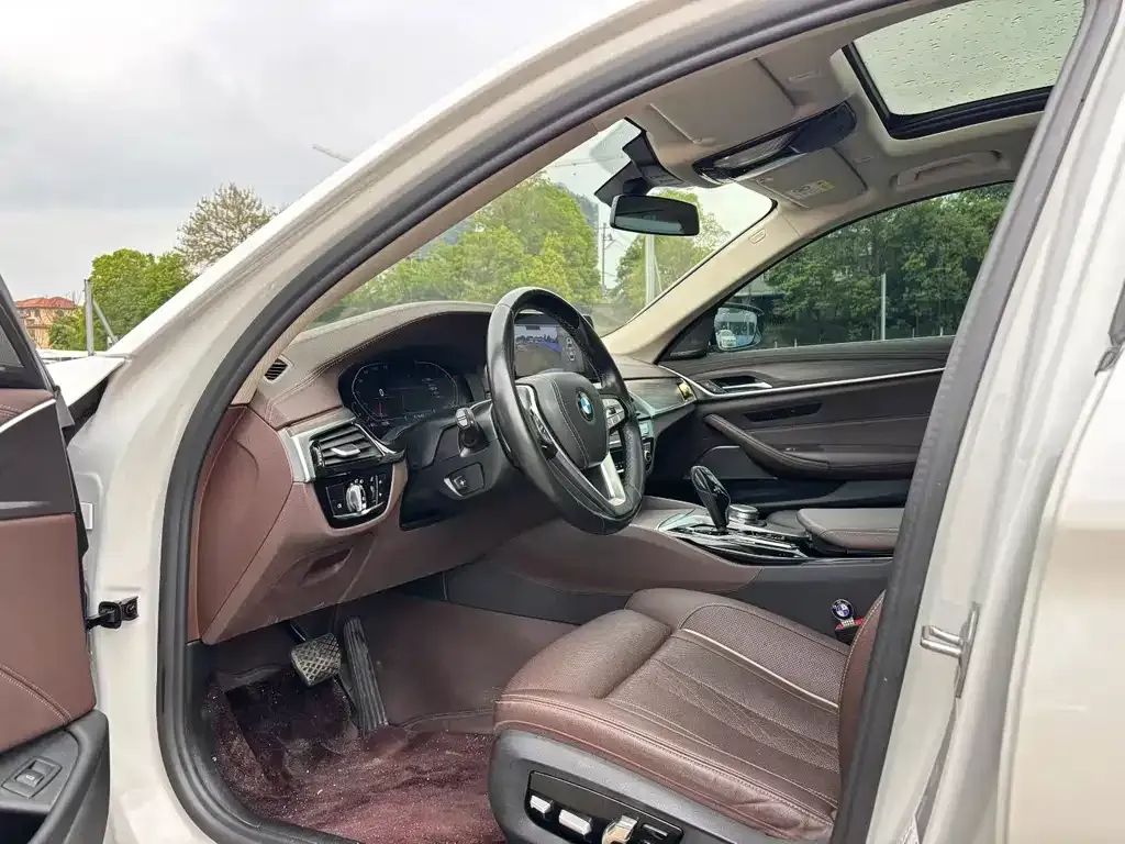BMW 5 Series 2021 из CN, фото 6