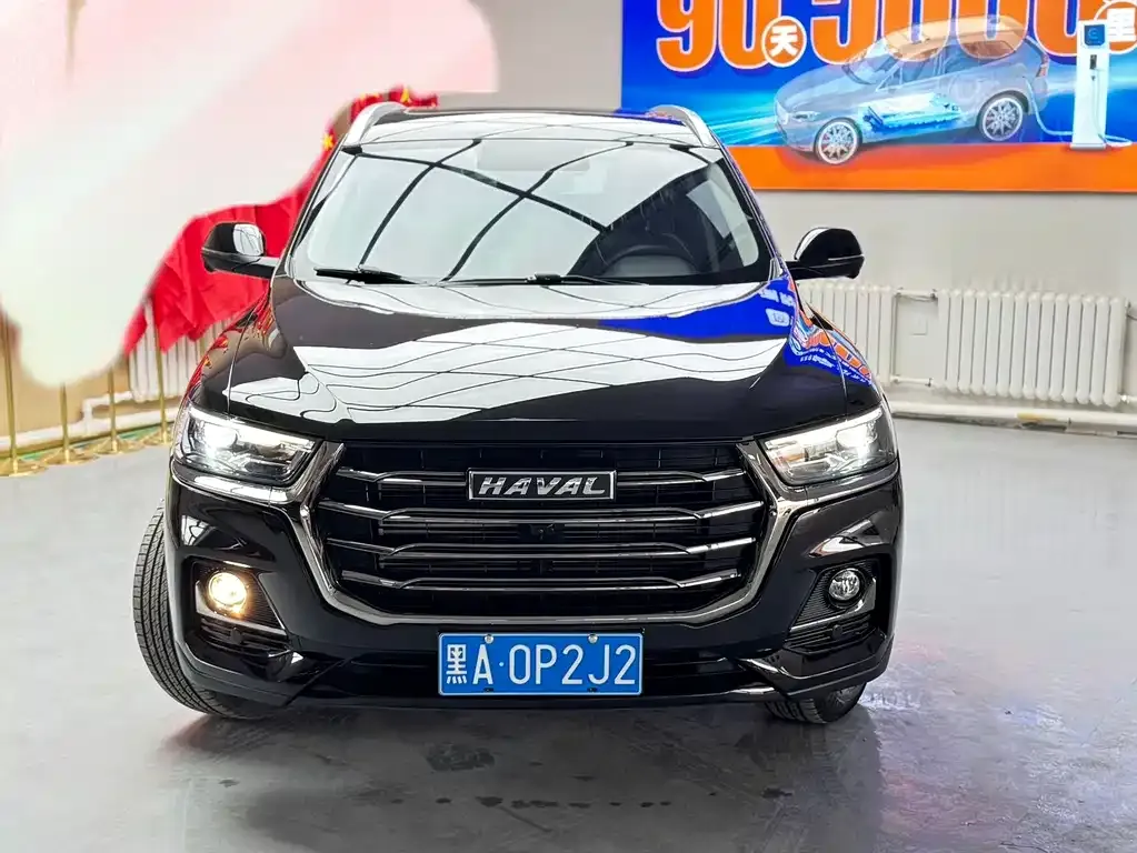 Haval H6 2022 из CN, фото 2