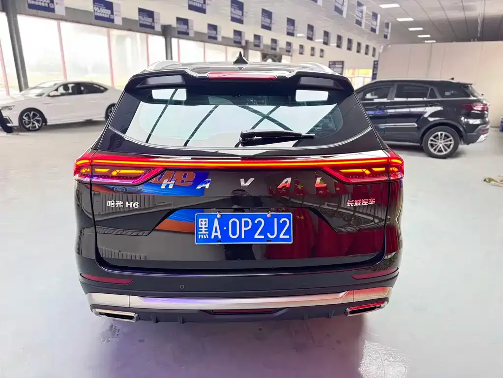 Haval H6 2022 из CN, фото 7