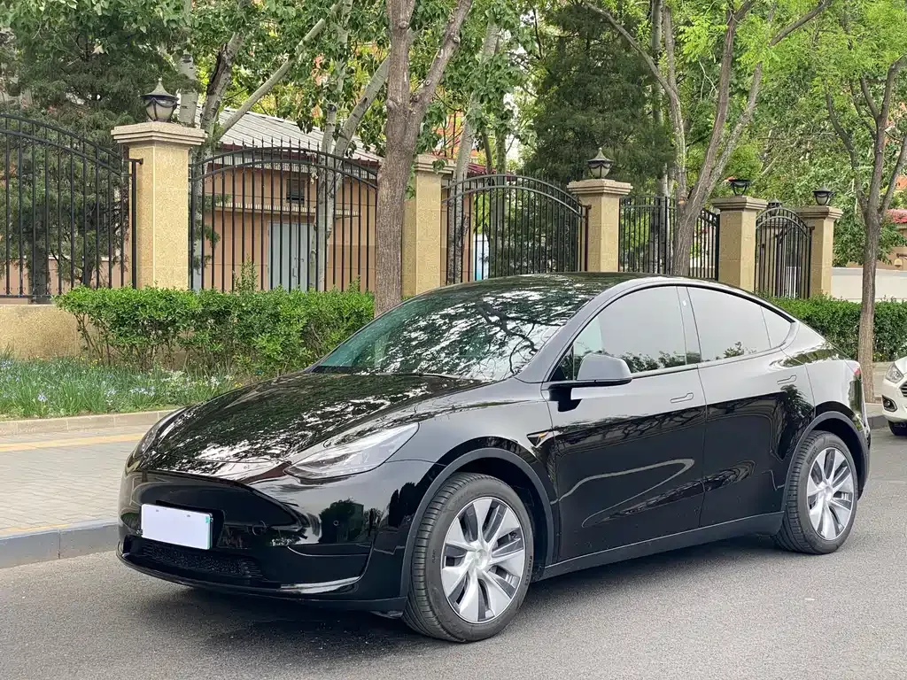 Tesla Model Y 2022 из CN, фото 1