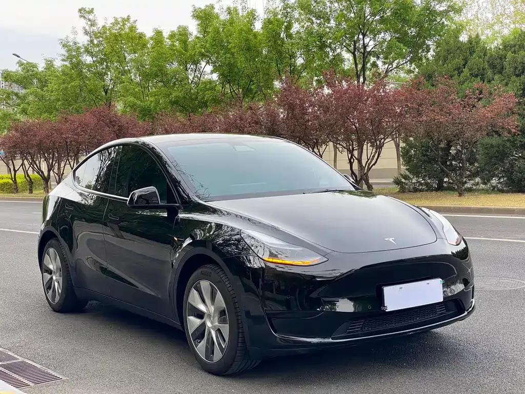 Tesla Model Y 2022 из CN, фото 5