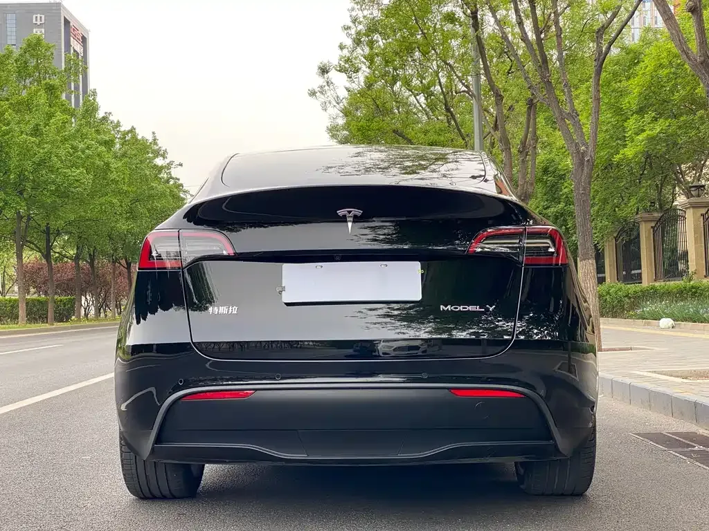 Tesla Model Y 2022 из CN, фото 2