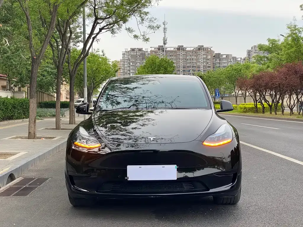 Tesla Model Y 2022 из CN, фото 8