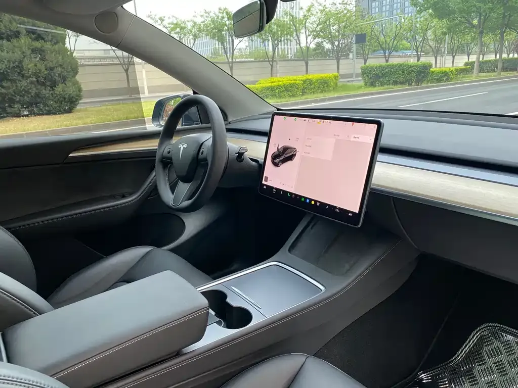 Tesla Model Y 2022 из CN, фото 6