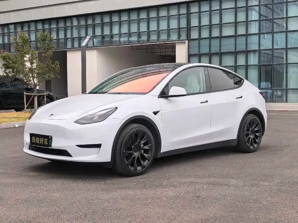 Tesla Model Y — фото 1