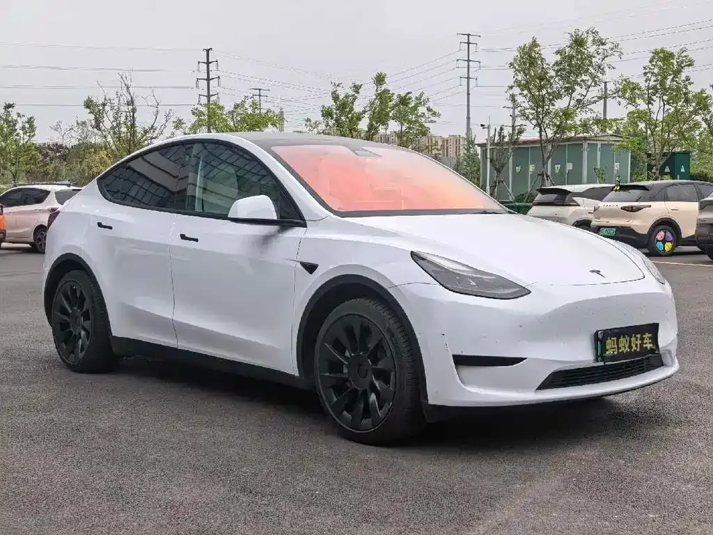 Tesla Model Y — фото 5