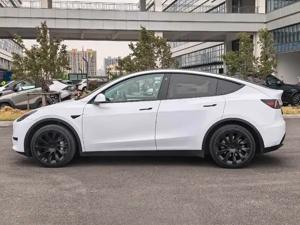 Tesla Model Y — фото 6