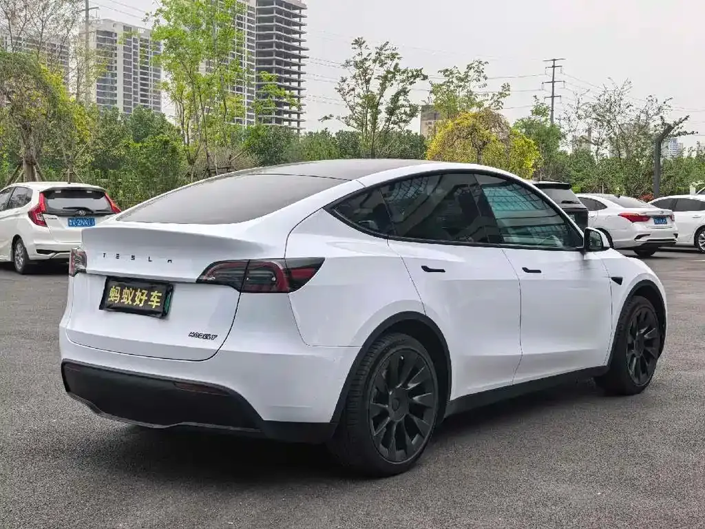 Tesla Model Y — фото 10