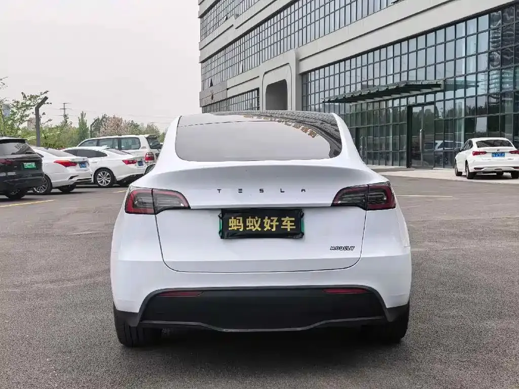 Tesla Model Y — фото 9