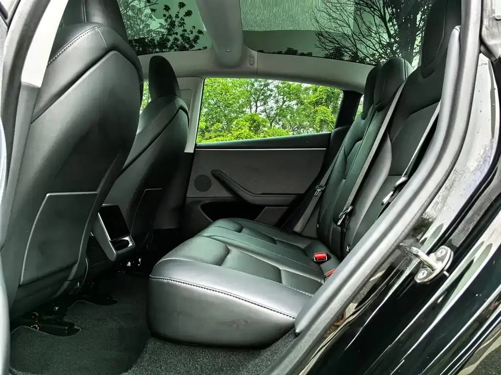 Tesla Model 3 2023 из CN, фото 8