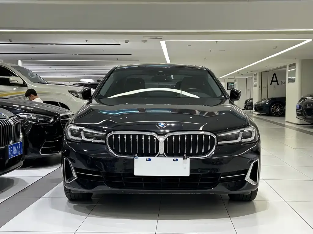 BMW 5 Series 2022 из CN, фото 3