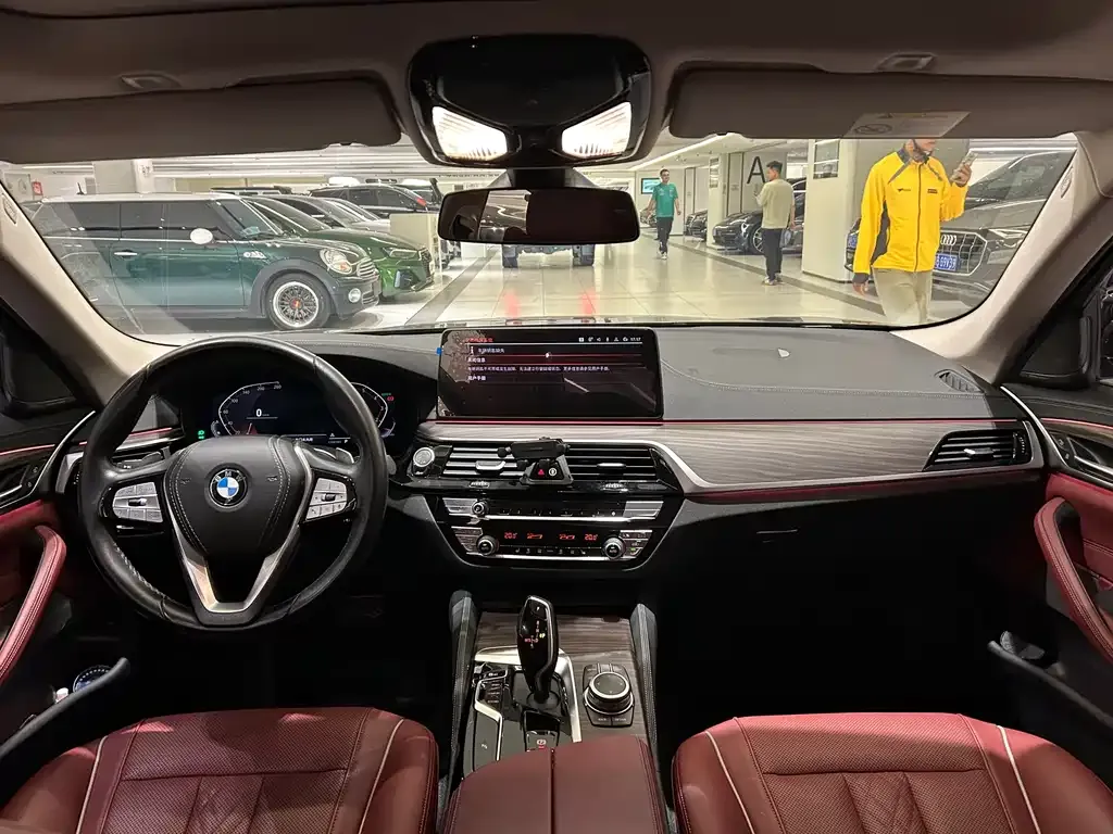 BMW 5 Series 2022 из CN, фото 8