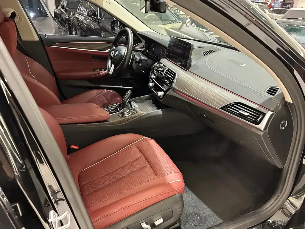 BMW 5 Series 2022 из CN, фото 7