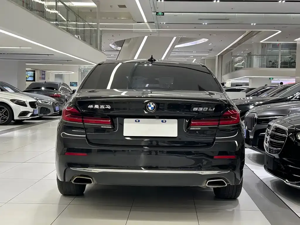 BMW 5 Series 2022 из CN, фото 10