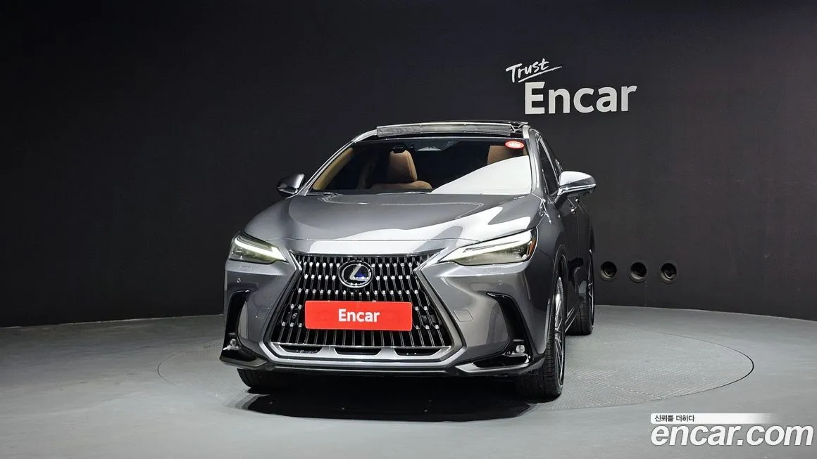 Lexus NX 2025 из KR, фото 2