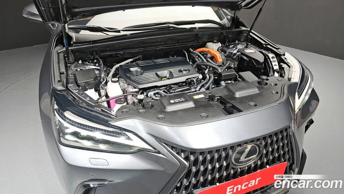 Lexus NX 2025 из KR, фото 7