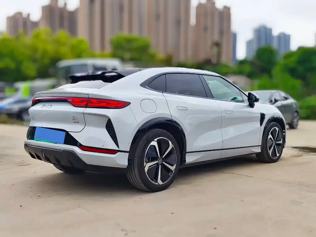BYD L EV — фото 10