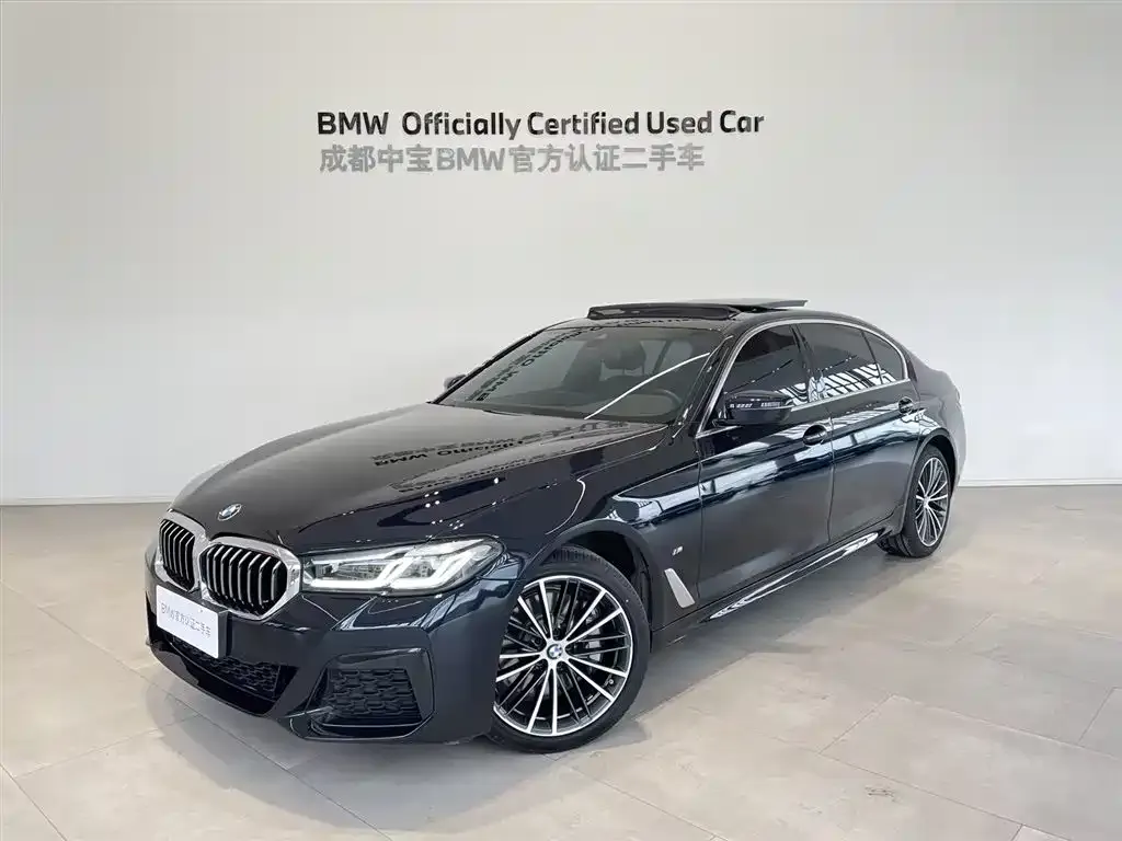 BMW 5 Series 2025 из CN, фото 1