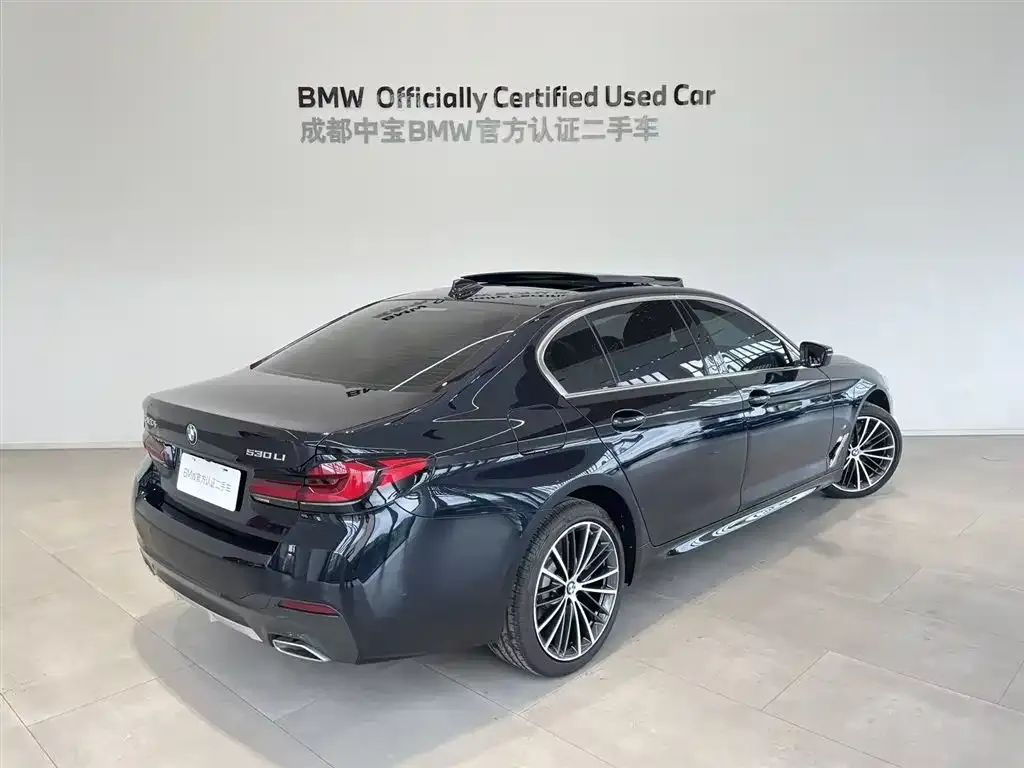 BMW 5 Series 2025 из CN, фото 5