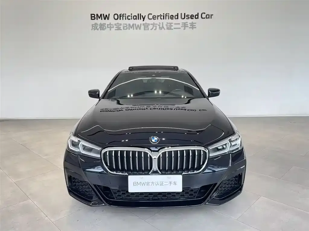 BMW 5 Series 2025 из CN, фото 4