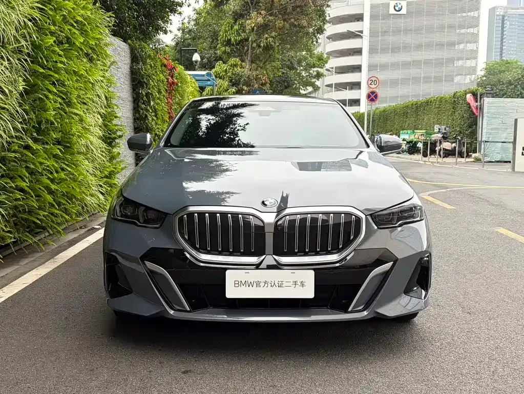 BMW 5 Series 2024 из CN, фото 7