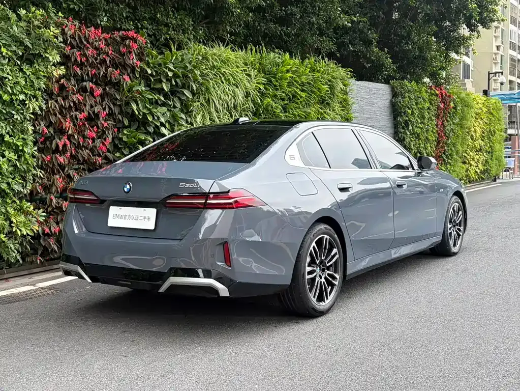 BMW 5 Series 2024 из CN, фото 5