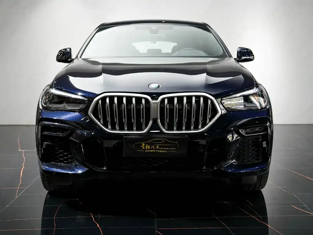 BMW X6 2022 из CN, фото 1