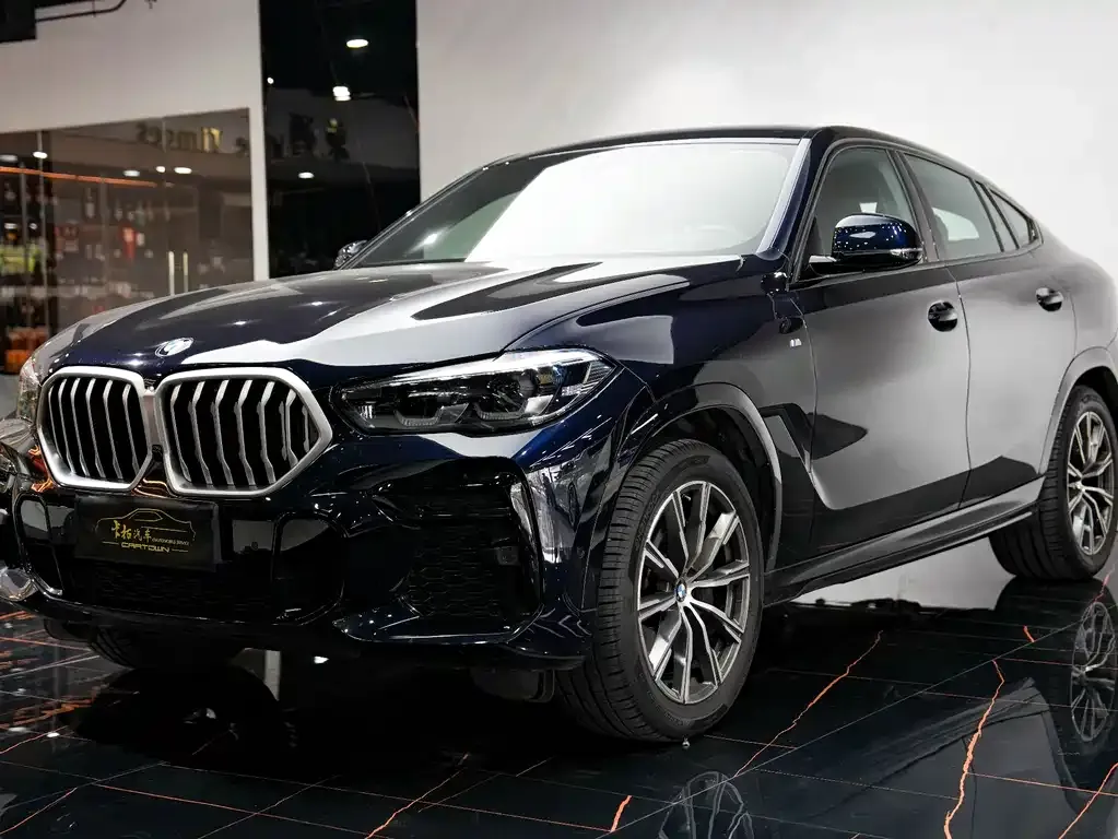 BMW X6 2022 из CN, фото 9