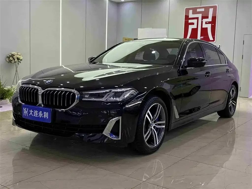 BMW 5 Series 2021 из CN, фото 1