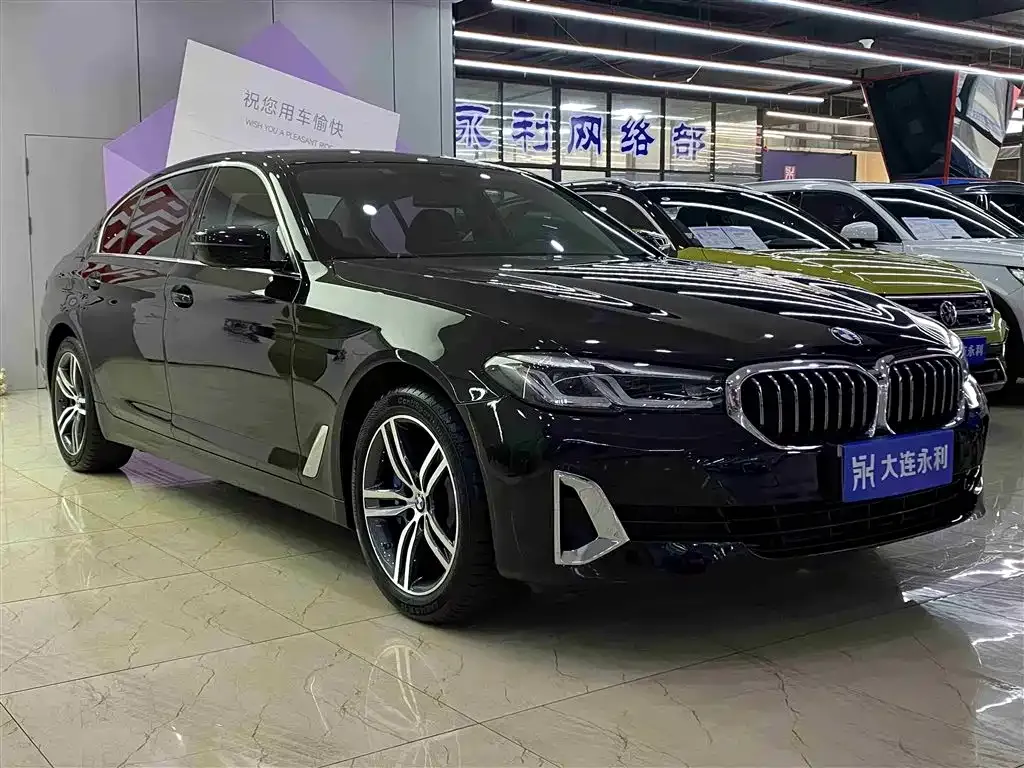BMW 5 Series 2021 из CN, фото 6