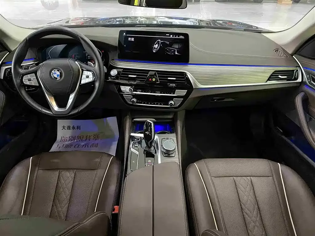 BMW 5 Series 2021 из CN, фото 10