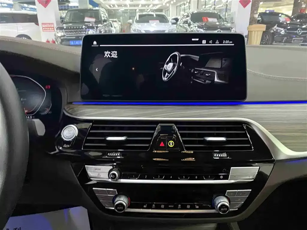 BMW 5 Series 2021 из CN, фото 3