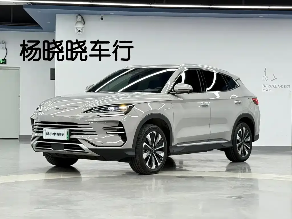 BYD PLUS New Energy — фото 1
