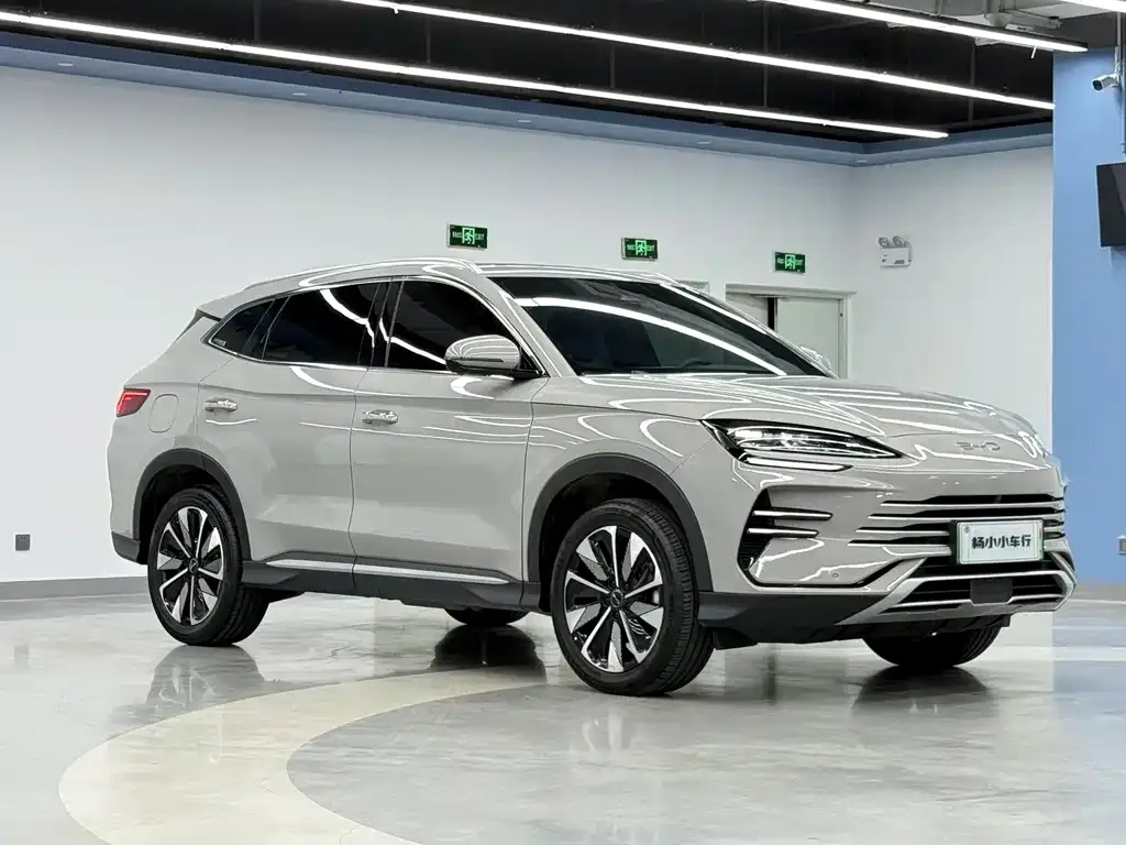 BYD PLUS New Energy — фото 10