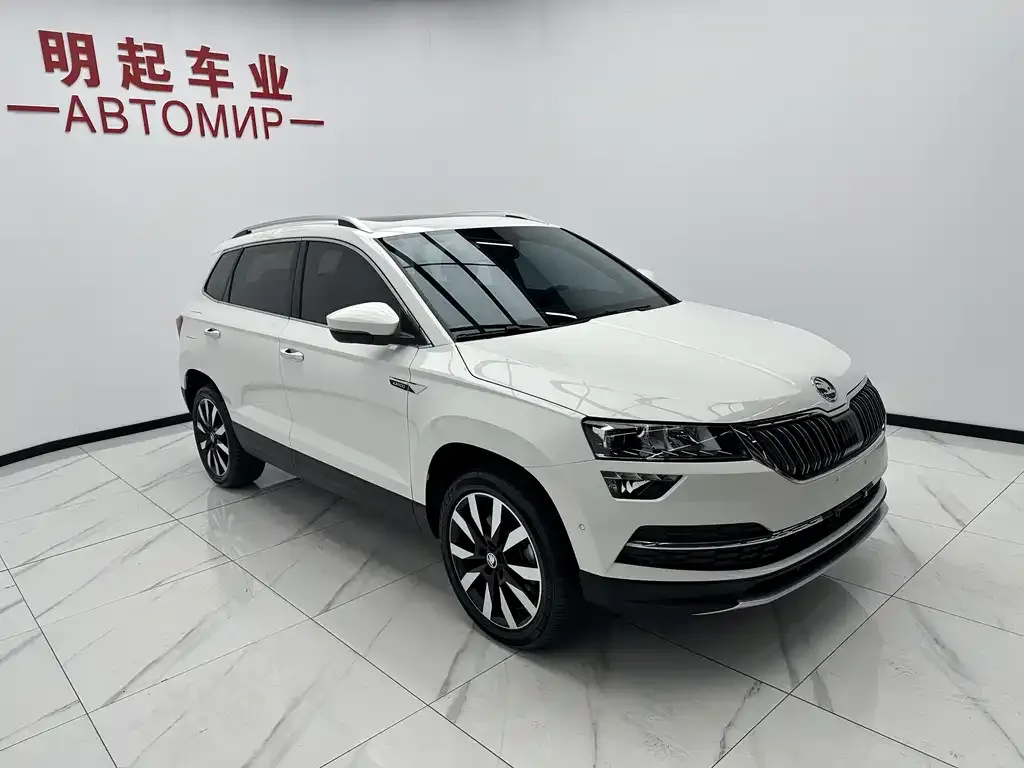Skoda Karoq 2022 из CN, фото 4