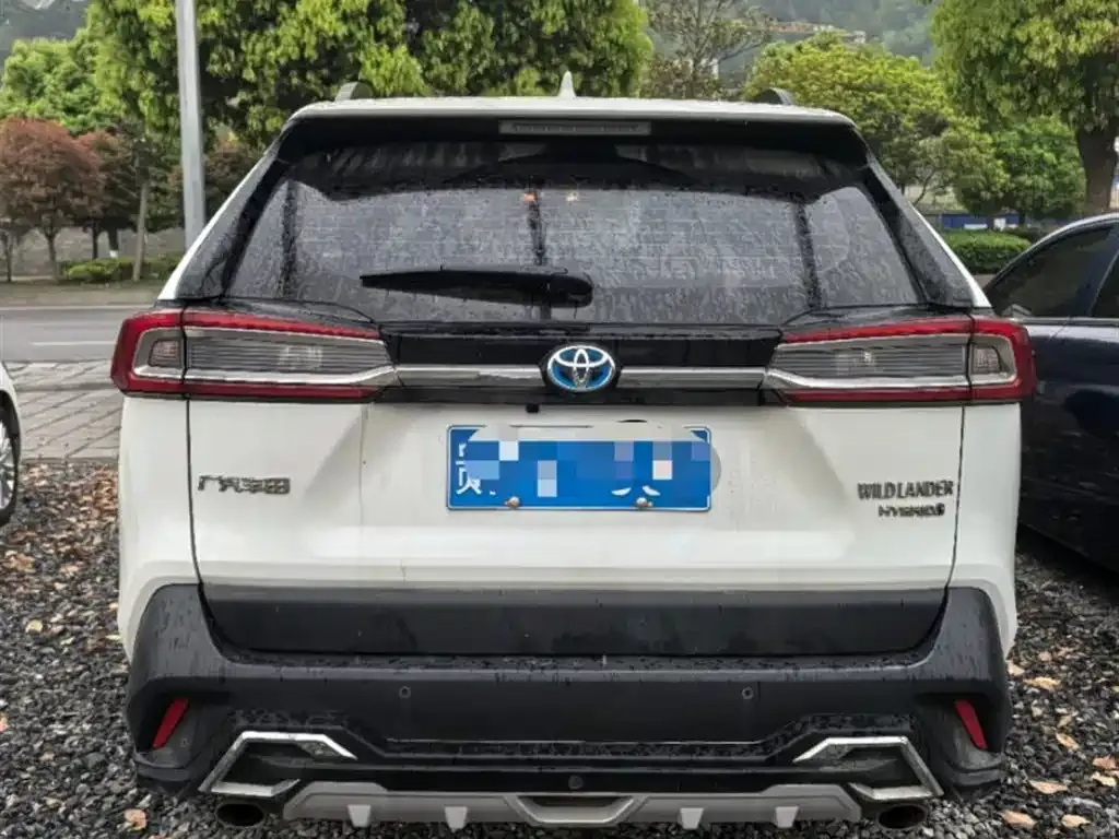 Toyota Wildlander 2022 из CN, фото 5