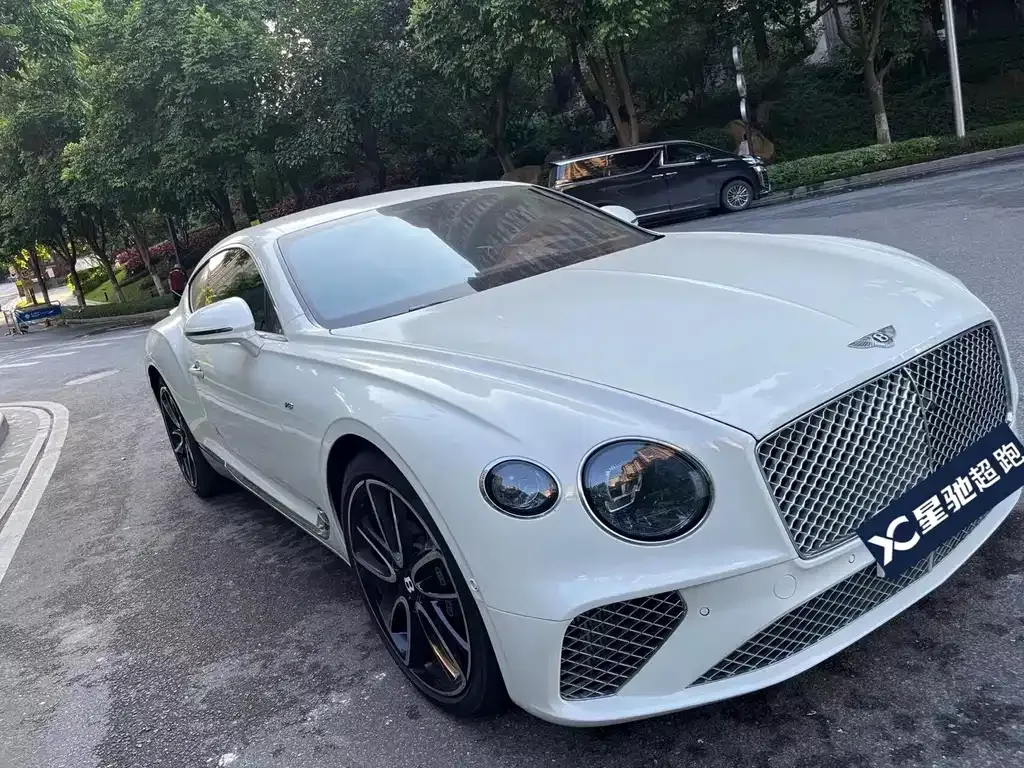 Bentley Continental 2022 из CN, фото 8
