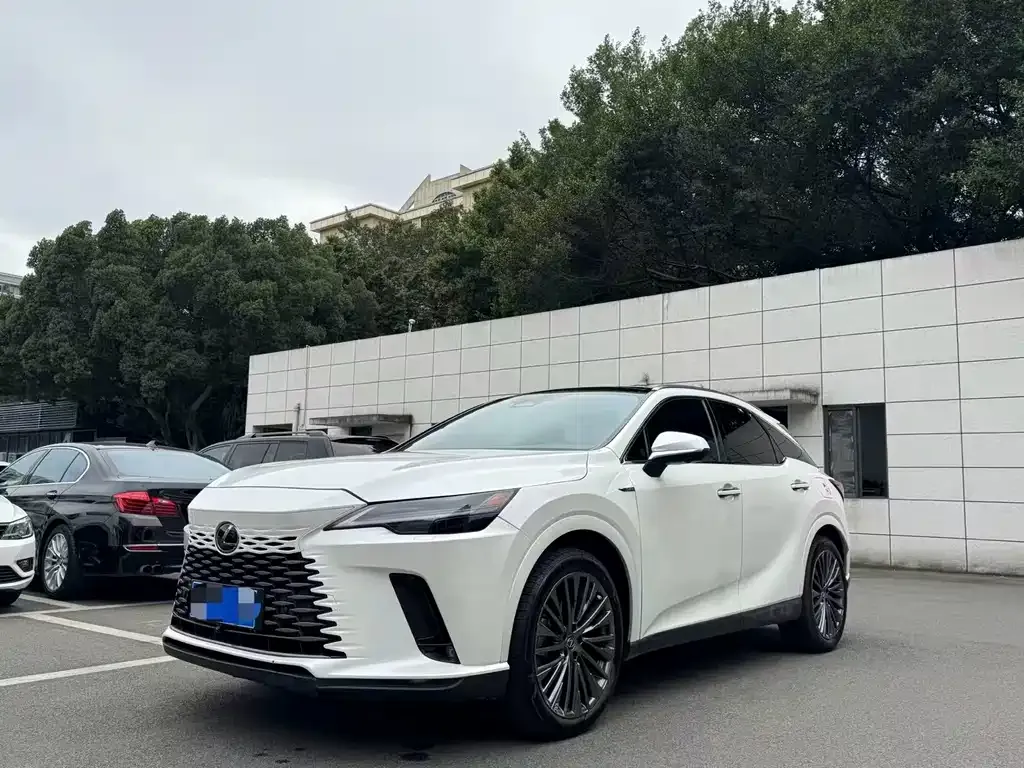 Lexus RX 2023 из CN, фото 1
