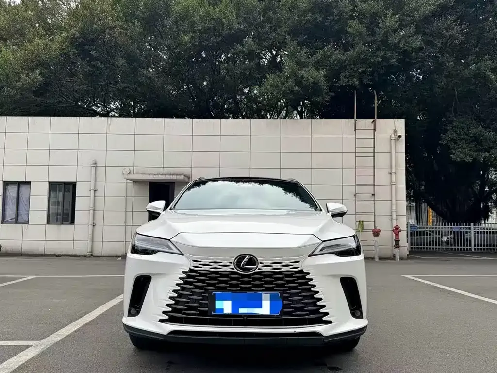 Lexus RX 2023 из CN, фото 5