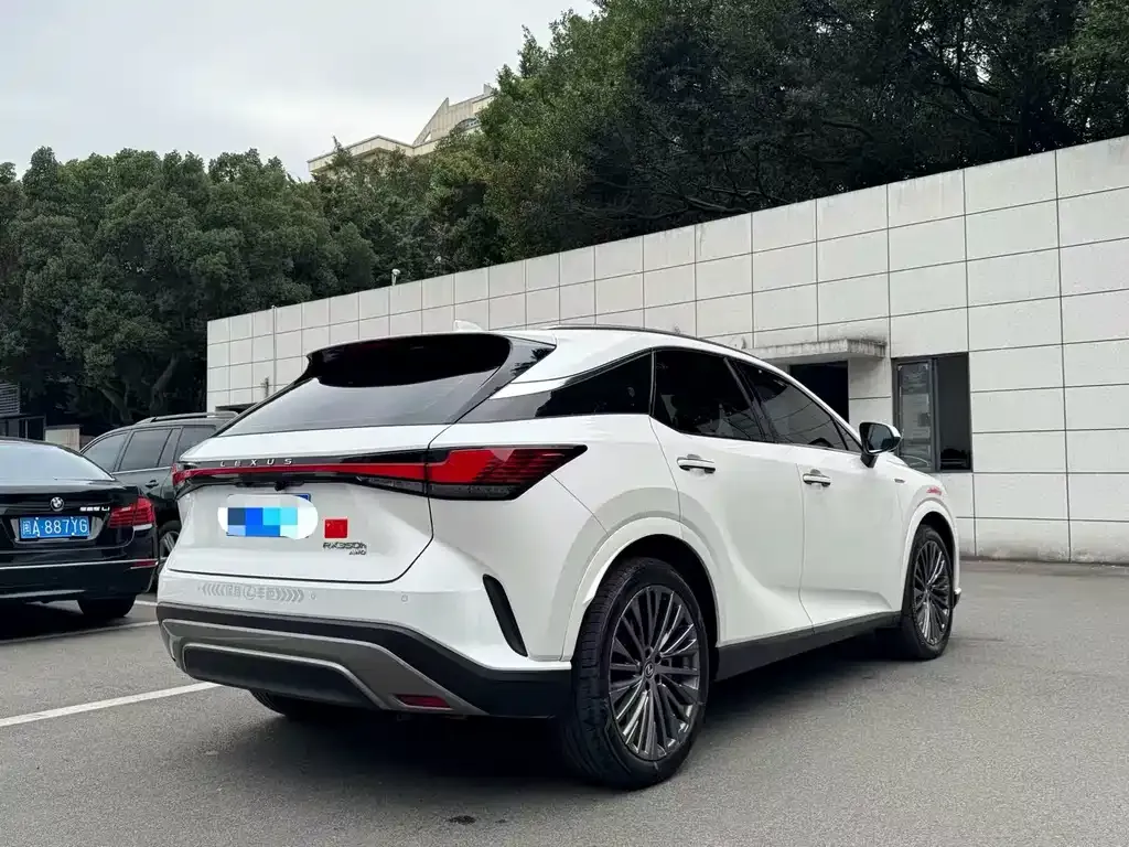 Lexus RX 2023 из CN, фото 9