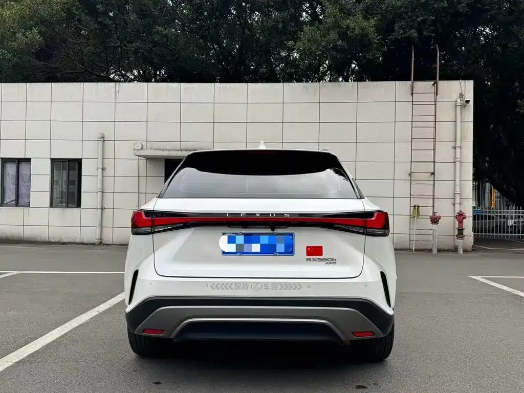 Lexus RX 2023 из CN, фото 8