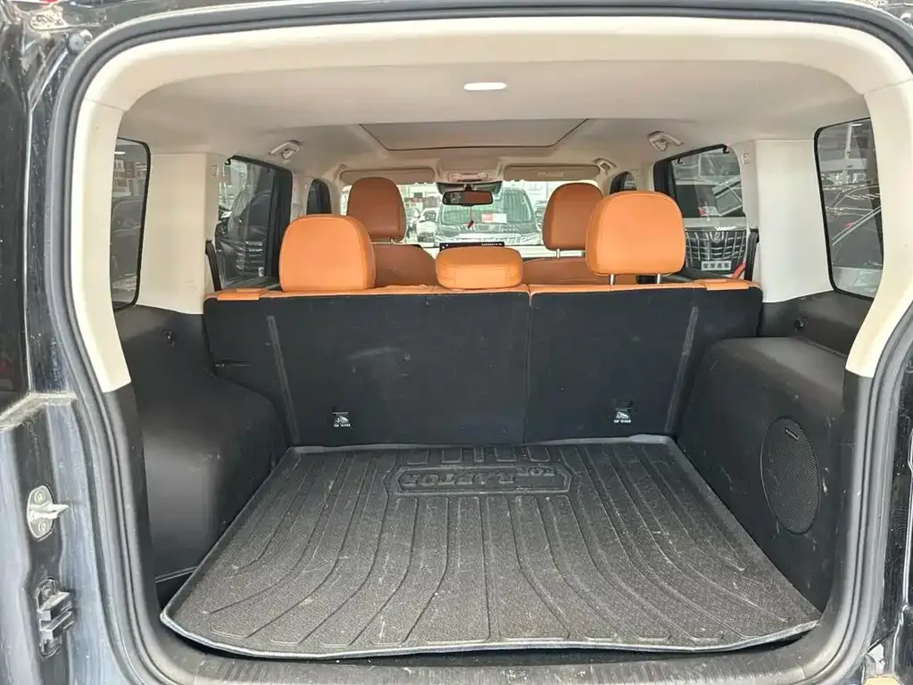 Haval Menglong New Energy 2024 из CN, фото 9